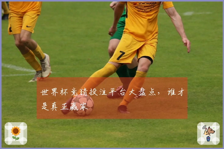 世界杯竞猜投注平台大盘点，谁才是真正赢家