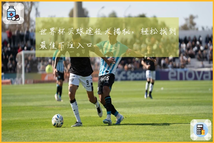 世界杯买球途径大揭秘，轻松找到最佳下注入口