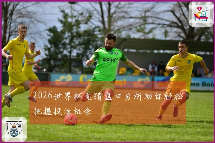2026世界杯竞猜盘口分析助你轻松把握投注机会