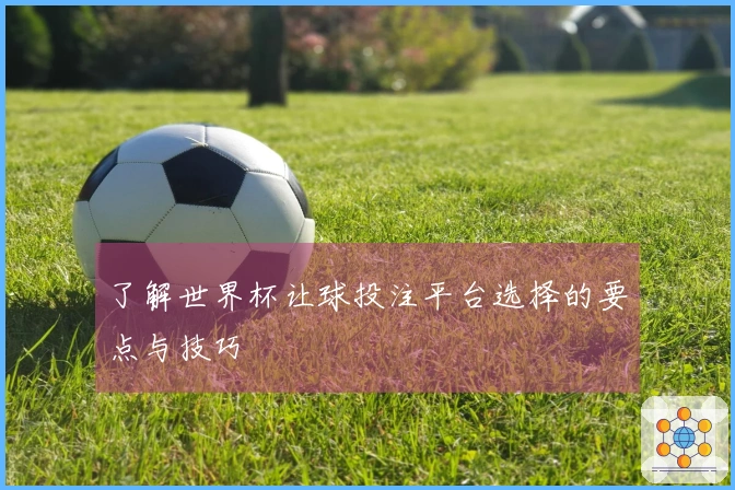了解世界杯让球投注平台选择的要点与技巧