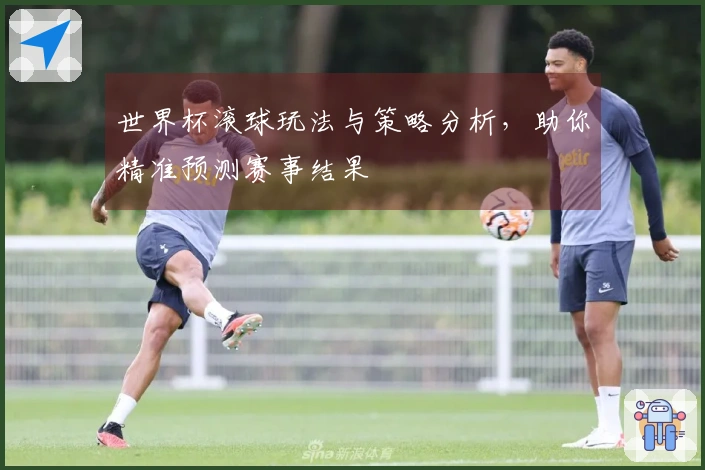 世界杯滚球玩法与策略分析，助你精准预测赛事结果